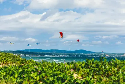 Kites over the Malibu spot during the north-east wind season