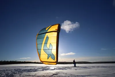 Kite canopy against the low winter sun