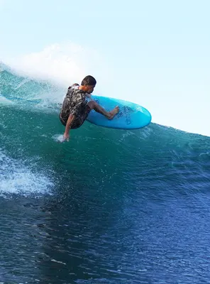 Сёрф-доска Catch Surf TWIG - Twin Fin - 4'10" — крупный план