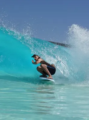 Catch Surf TWIG - Twin Fin - 4'10" 冲浪板 — 俯视图