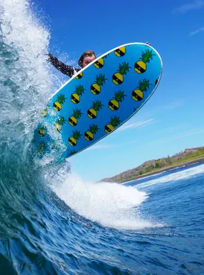 Сёрф-доска Catch Surf Easy Rider x Ben Gravy (Tri Fin) — детали конструкции