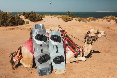 Flysurfer RADICAL8 Kiteboard — top view