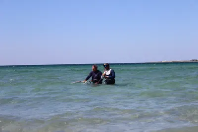 Ученики на воде, Межводное, Крым