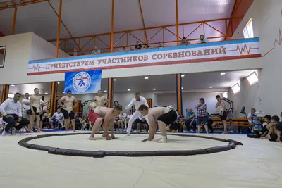 Кайт над лиманом, летний лагерь в Крыму