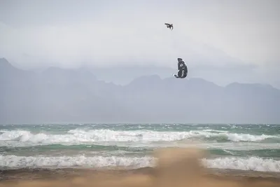 Кайт GONG Kite Ayto Aramid DP — вид сверху
