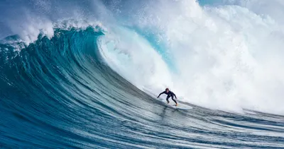 Сёрф-доска GONG Surf Carter Origin 2.0 — крупный план