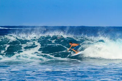 Сёрф-доска GONG Surf Impératrice Origin 2.0 — вид сверху