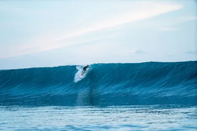 Сёрф-доска GONG Surf Lethal PU — крупный план