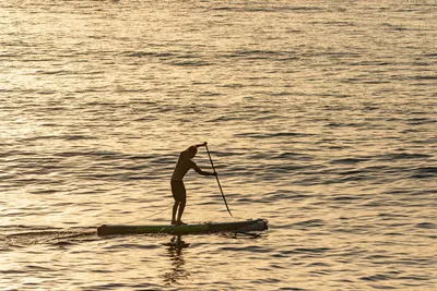 Плавник GONG US Fin Race — в работе на воде