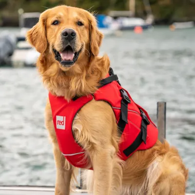Red Paddle Co Dog Buoyancy Aid - Red Vest — side view