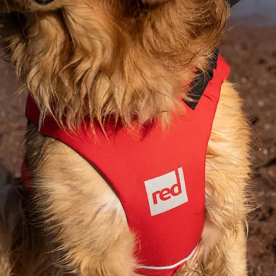 Red Paddle Co Dog Buoyancy Aid - Red Vest — construction detail
