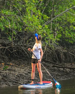 Весло для SUP Starboard Enduro Tiki Tech Lite Paddle — детали конструкции